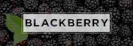 Online Editable Dark Blackberry Tumblr Banner