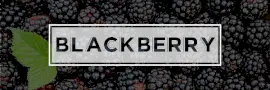 Online Editable Blackberry with High-res Image Email Header