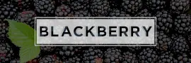 Online Editable Dark Blackberry Twitter Header