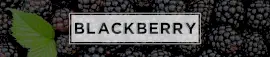 Online Editable Blackberry Fruit Soundcloud Banner