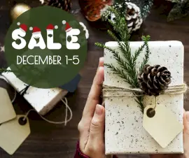 Online Editable Christmas Deals Ad Facebook Post
