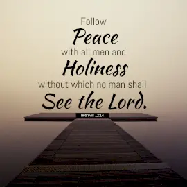 Online Editable Bible Verse - Hebrews 12:14 Instagram Post