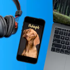 Online Editable Blue Dog Adoption Photo Mockup