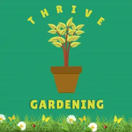 Online Editable Thrive Gardening Podcast Artwork