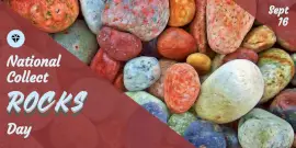 Online Editable National Collect Rocks Day Twitter Post