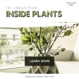 Online Editable Ideas for Indoor Plants Instagram Ad