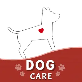 Online Editable Dog Care Podcast Artwork